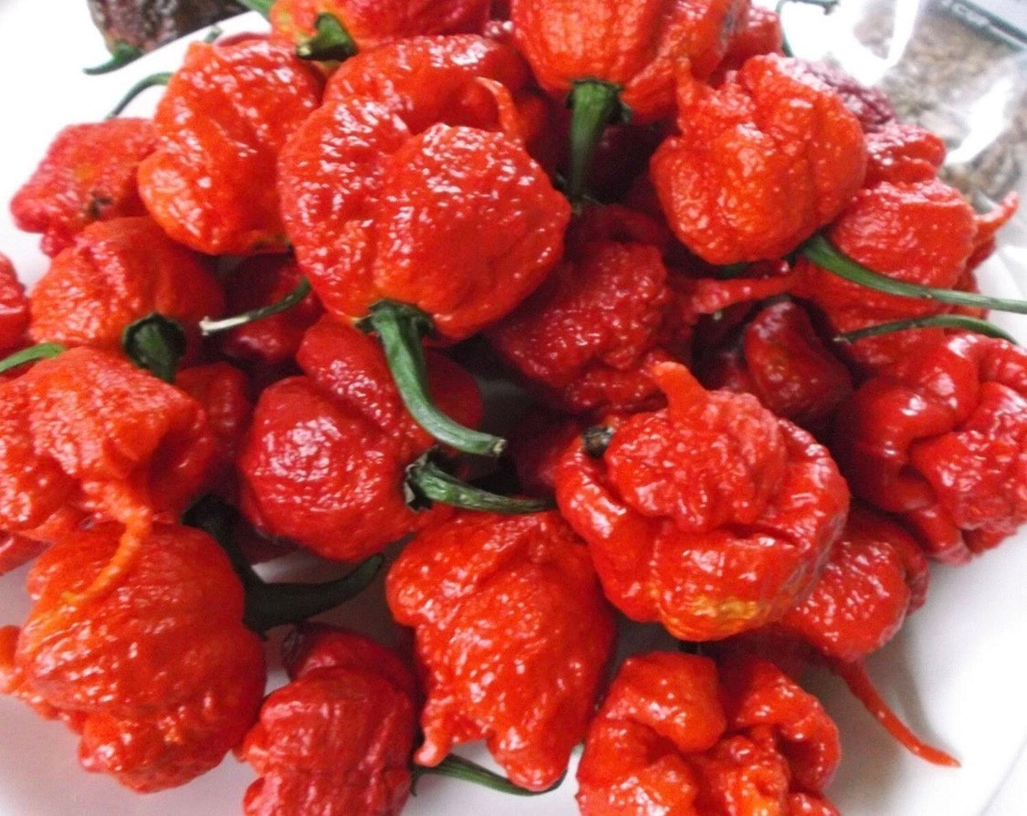 FKH  Reaper Madness Hot Sauce  200ml