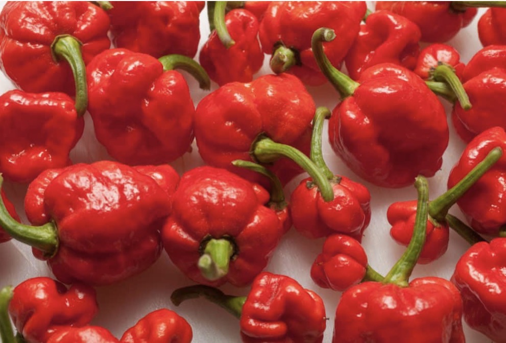 FKH   Fire  Dragon   Hot  Chilli Sauce  200ml