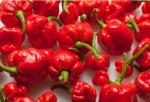 FKH   Fire  Dragon   Hot  Chilli Sauce  200ml