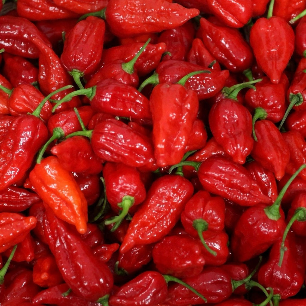 FKH  Naga Mexicana Hot Sauce  200ml